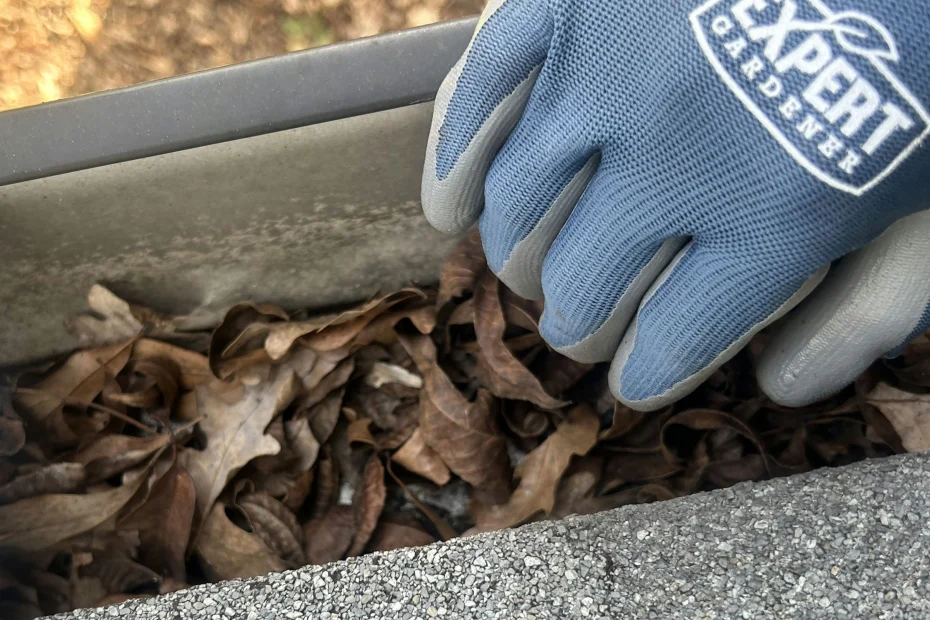 Gutter Cleaning Shelby