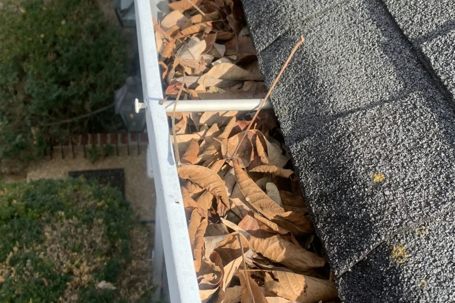 Gutter Cleaning Shelby